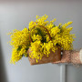 Мимоза в плетеной корзине фото 3